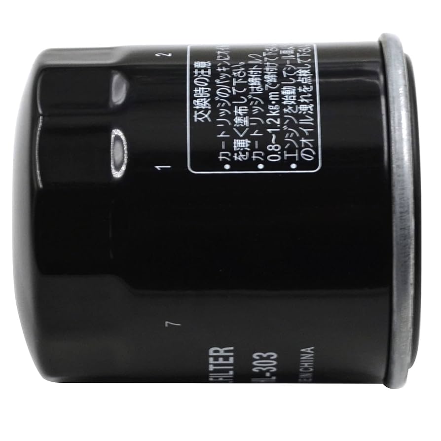 冷凍ADL52 ADM10 F10 H10 PL10 3L5 5L2 Amazon.com: AHL 303 Oil Filter for Kawasaki ZX1000 Ninja ZX